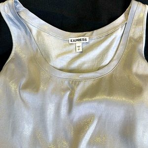 Shiny shimmery, EXPRESS brand tank size small
